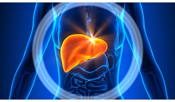 Non-Alcoholic Fatty Liver Disease